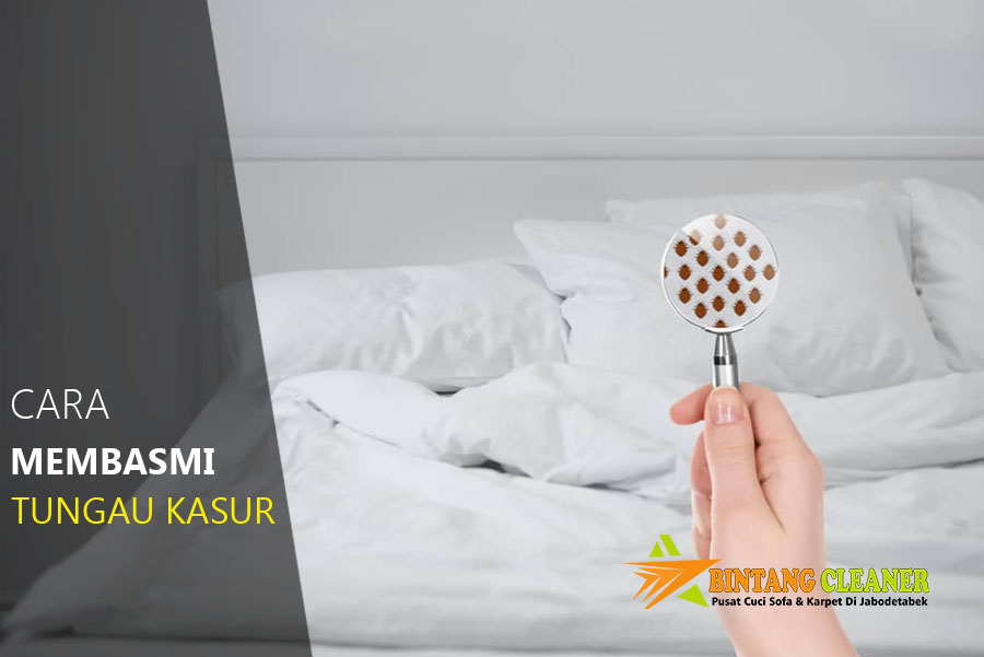 Hama Tungau Kasur